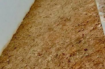 Suriaman 3, Bandar Sri Sendayan