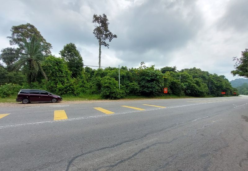 Tanah tepi jalan utama Maran, Pahang 4 sale