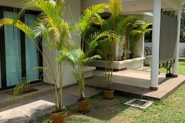 Symphony Hills Beethoven