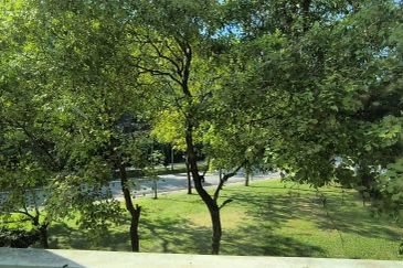 Evergreen Garden Residence