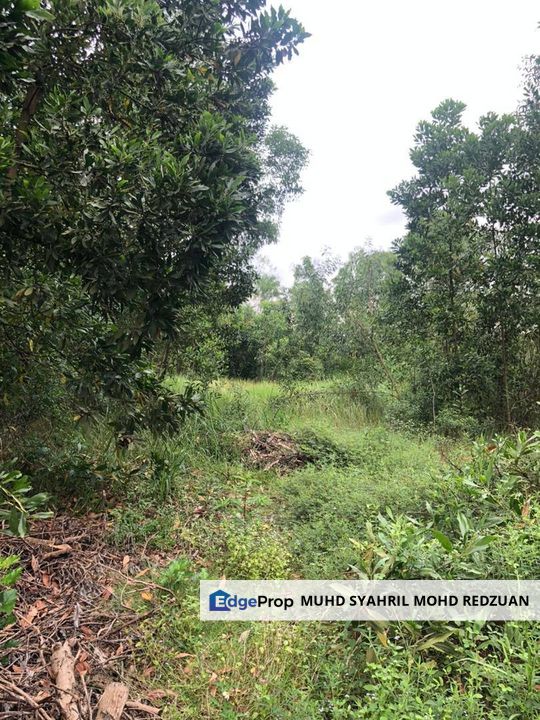 Tanah Lot di Ampangan Seremban, Negeri Sembilan, Negeri Sembilan, Seremban