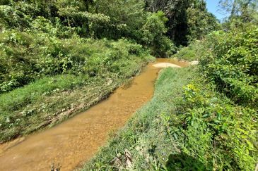 Gemencheh land for sale