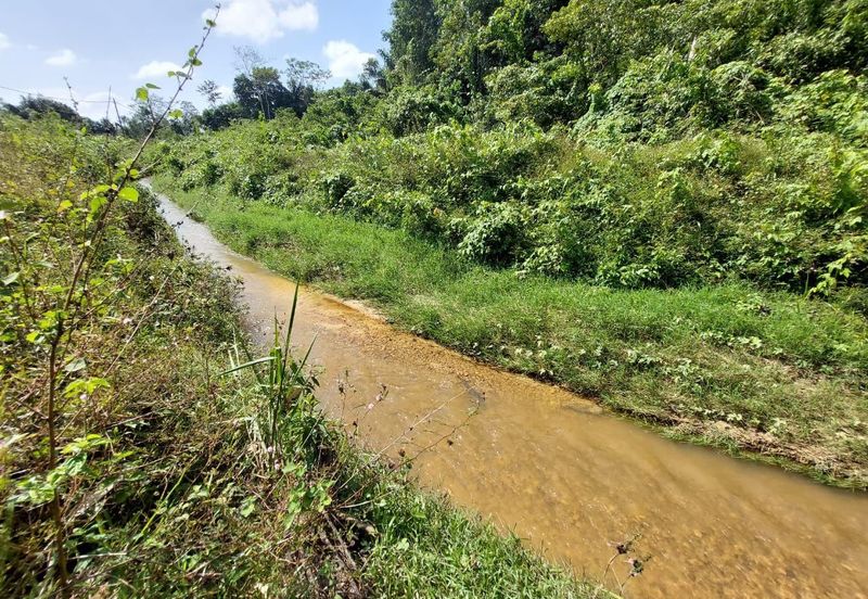 Gemencheh land for sale