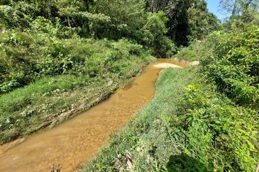 Gemencheh land for sale