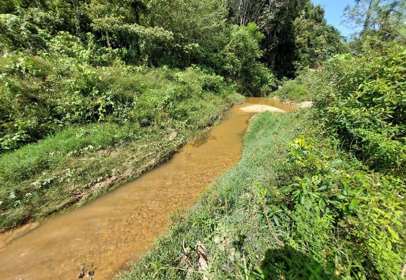 Gemencheh land for sale