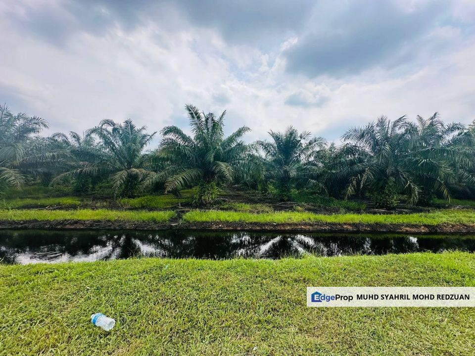 Tanah Kelapa Sawit Exit Highway SKVE, Kuala Langat for sale, Selangor, Jenjarom
