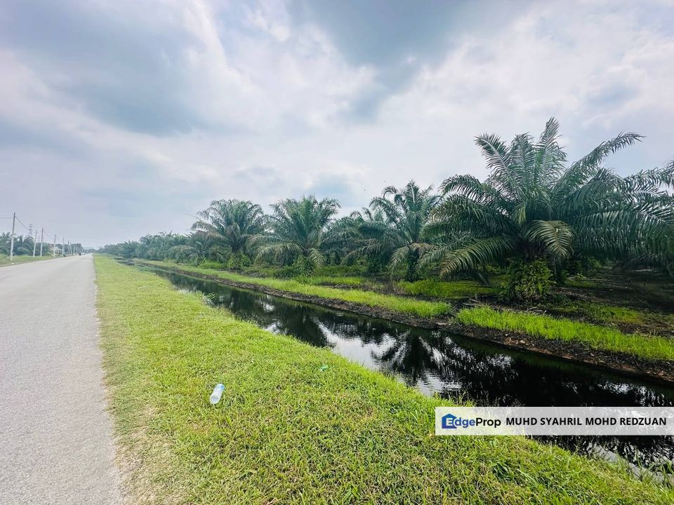 Tanah Kelapa Sawit Exit Highway SKVE, Kuala Langat for sale, Selangor, Jenjarom