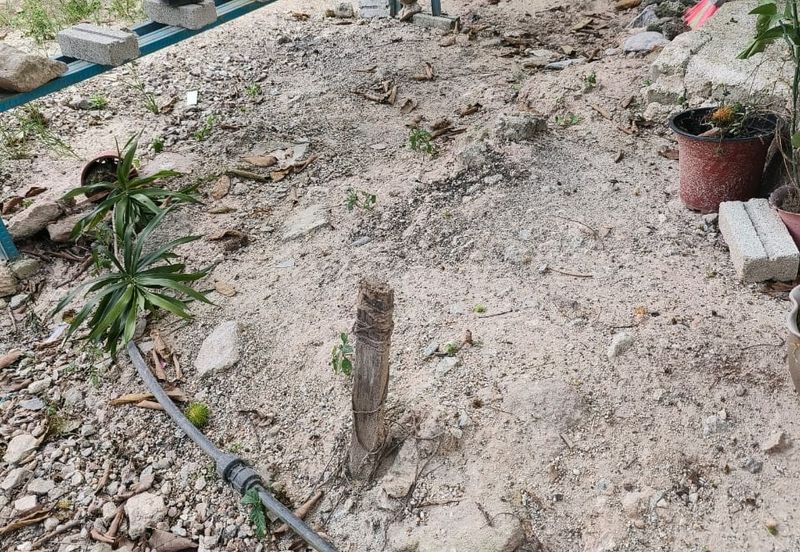 Kampung Sungai Balak