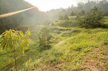 Jalan Kekwa, Taman Serendah Makmur