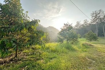 Jalan Kekwa, Taman Serendah Makmur