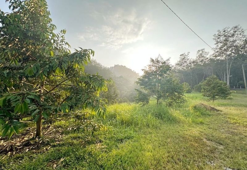 Jalan Kekwa, Taman Serendah Makmur