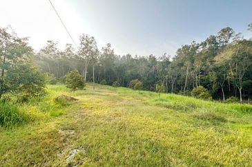 Jalan Kekwa, Taman Serendah Makmur
