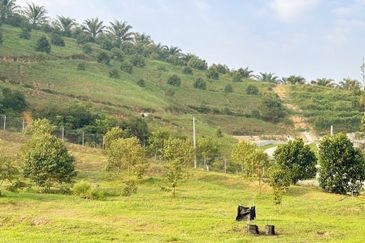 Jalan Kekwa, Taman Serendah Makmur