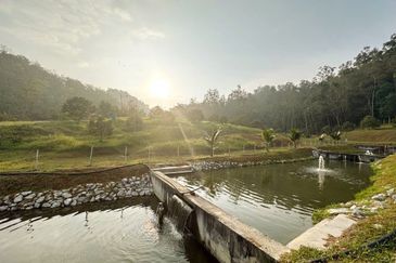 Jalan Kekwa, Taman Serendah Makmur