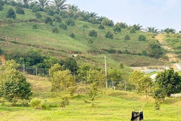 Jalan Kekwa, Taman Serendah Makmur