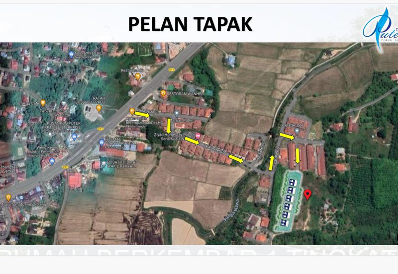 TAMAN PUTERI - POKOK SENA