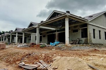 TAMAN PUTERI - POKOK SENA