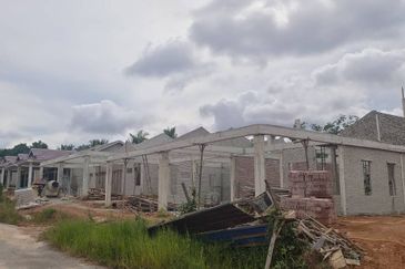 TAMAN PUTERI - POKOK SENA