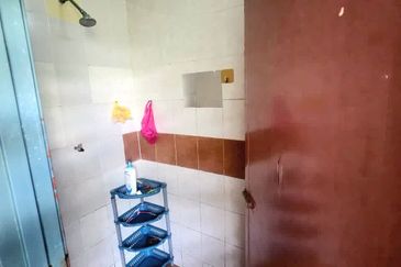 BANDAR BARU POKOK SENA