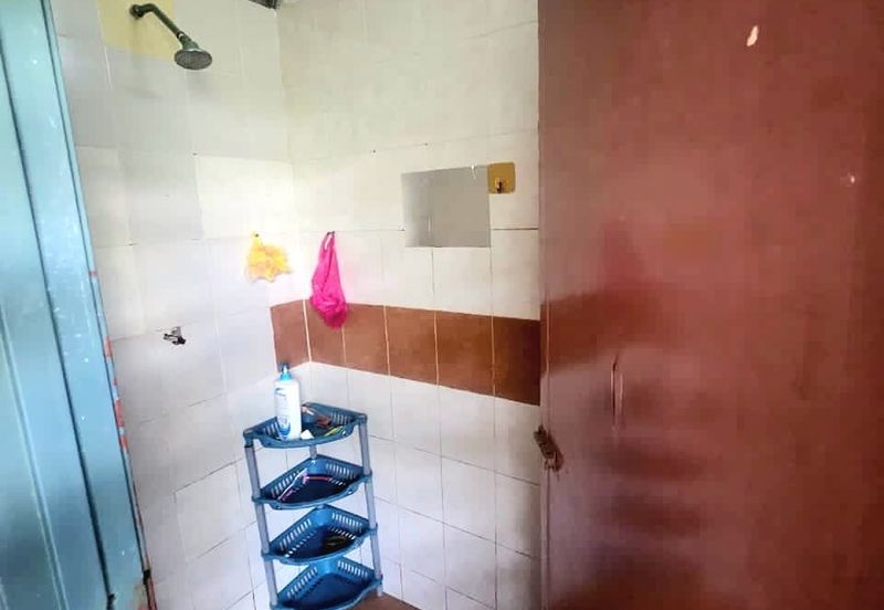 BANDAR BARU POKOK SENA