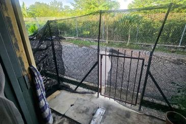 BANDAR BARU POKOK SENA