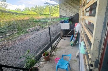 BANDAR BARU POKOK SENA