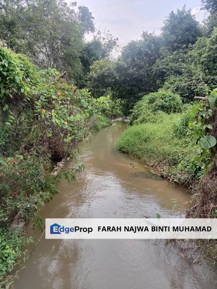 [1.9 HEKTAR] Tanah Kebun @ Kampung Lubuk Getah, Pendang - FOR SALE, Kedah, Pendang