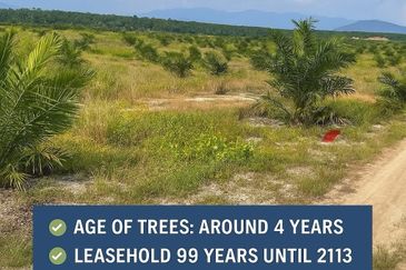 TAPAH 433 Acres Palm Oil Plantation For Sale