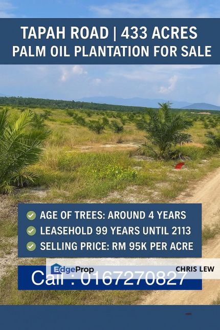 TAPAH 433 Acres Palm Oil Plantation For Sale, Perak, Tapah