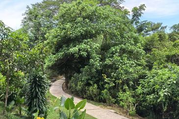 Meru Valley Golf Resort