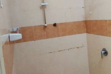 Taman Damansara Aliff