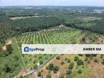 Kampung Tenang Ulu Tiram Agriculture Land For Sale, Johor, Ulu Tiram