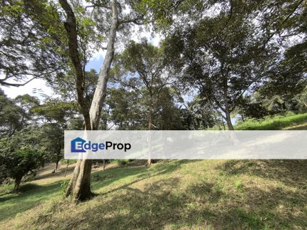 Kota Tinggi Agriculture Land For Sale, Johor, Ulu Tiram