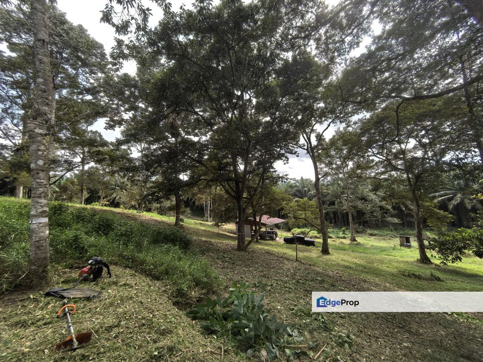 Kota Tinggi Agriculture Land For Sale, Johor, Ulu Tiram