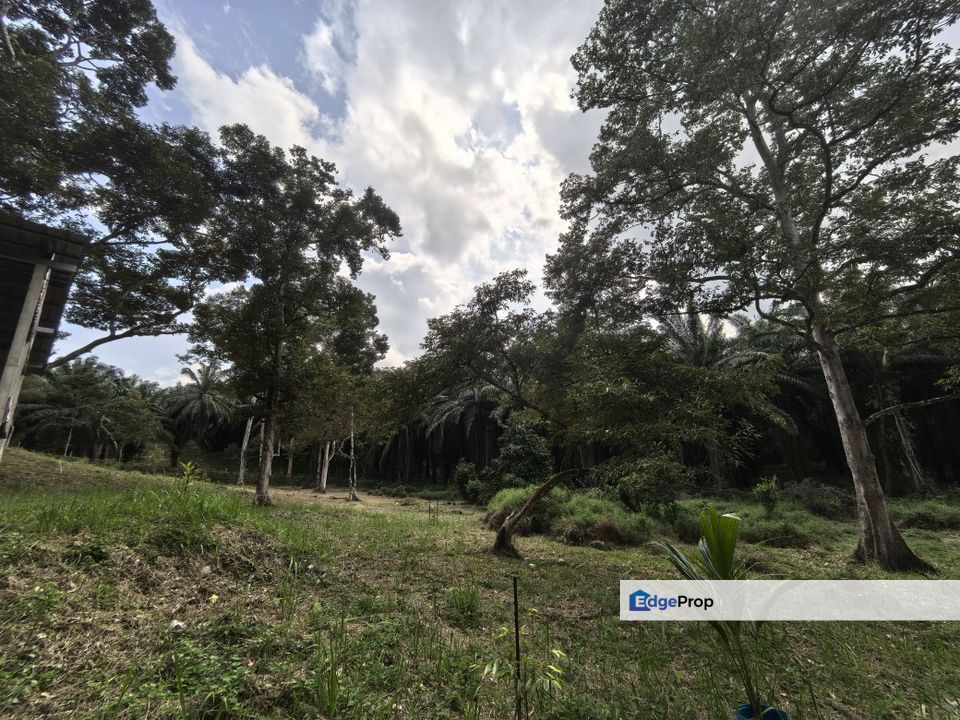 Kota Tinggi Johor Agriculture Land For Sale, Johor, Ulu Tiram