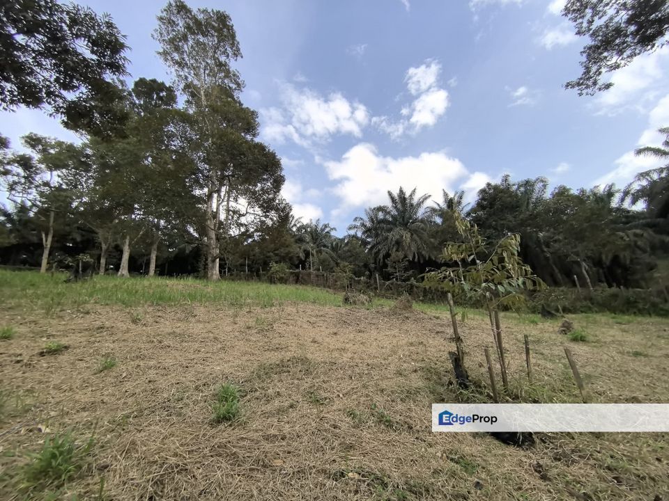 Kota Tinggi Johor Agriculture Land For Sale, Johor, Ulu Tiram