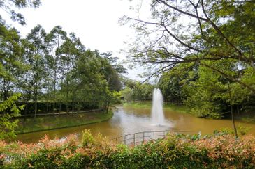 Bayou Creek, Leisure Farm