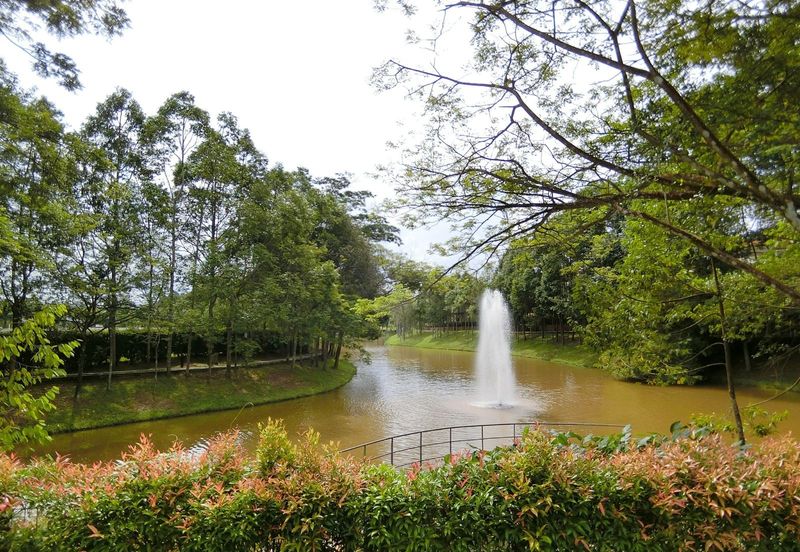 Bayou Creek, Leisure Farm