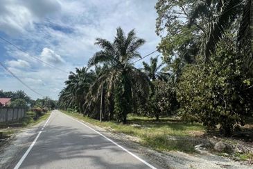 Pekan Nanas Industrial