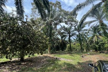 Pekan Nanas Industrial