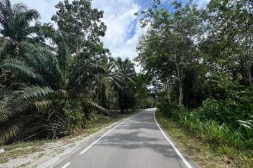 Pekan Nanas Industrial