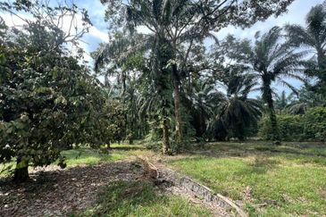 Pekan Nanas Industrial