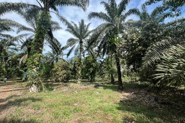 Pekan Nanas Industrial