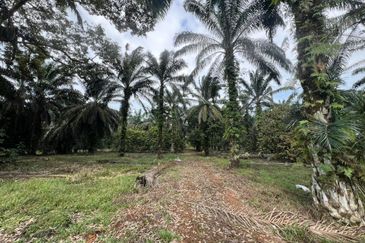 Pekan Nanas Industrial