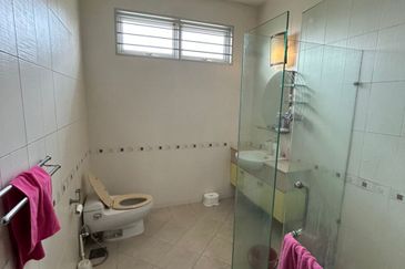 Stulang Laut / Darat