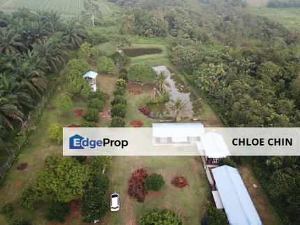 Mersing Johor Fruit Orchard For Sale, Johor, Mersing