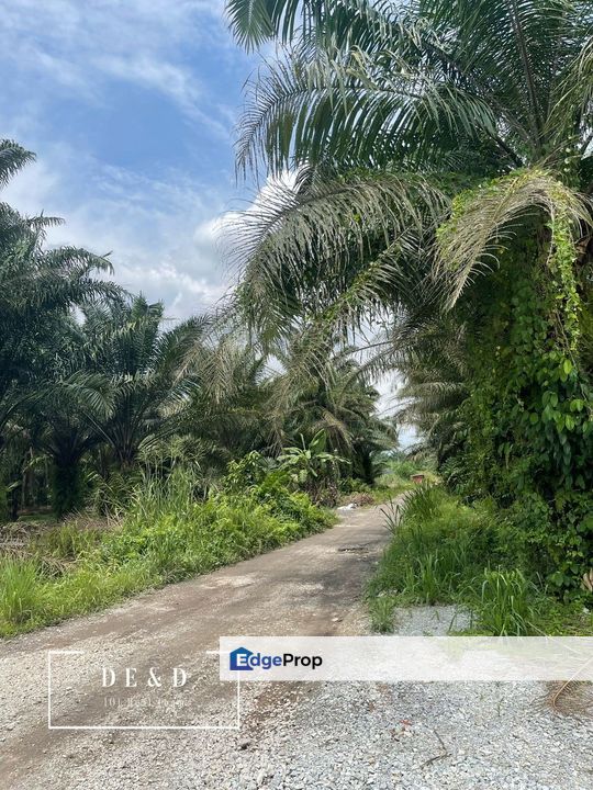 RM41/sqft!! 2.5acre zoning industry land jenjarom!! In front BHP station, Selangor, Jenjarom