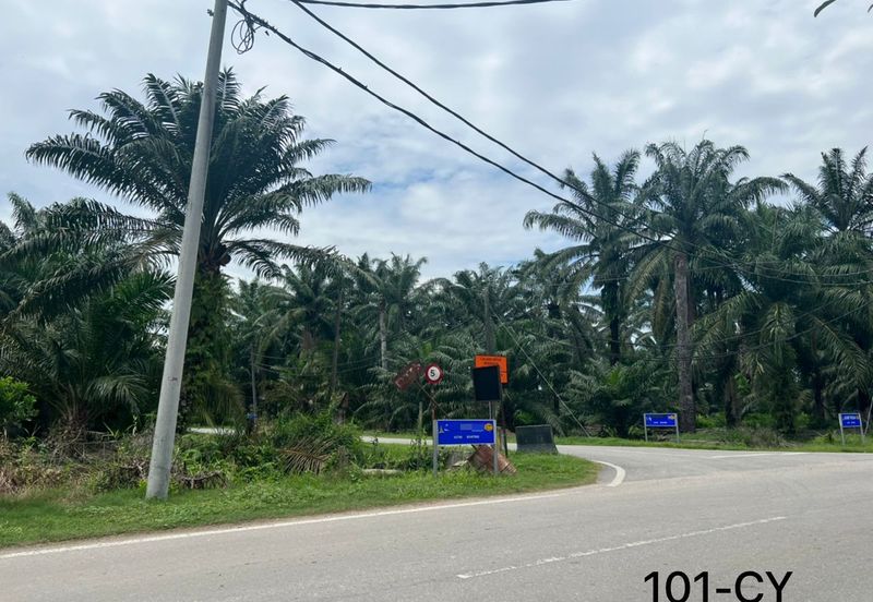 Banting @ Industrial