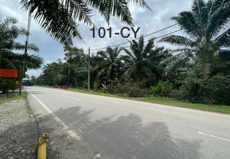 Banting @ Industrial