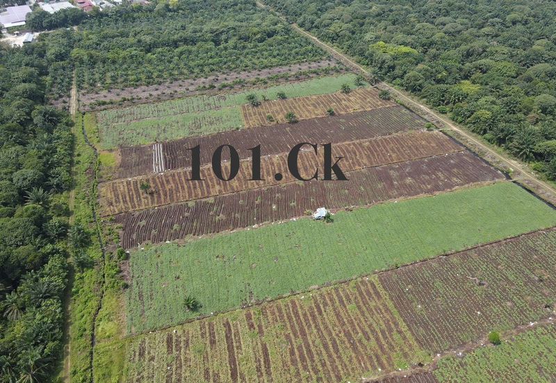 Sijangkang @ Industrial